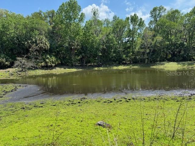 2992 N C 470, LAKE PANASOFFKEE, FL, 33538