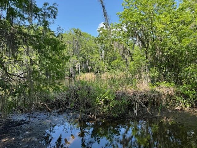 2992 N C 470, LAKE PANASOFFKEE, FL, 33538