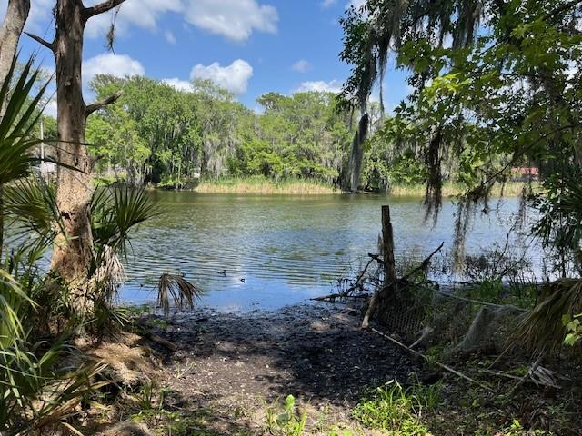 2992 N C 470, LAKE PANASOFFKEE, FL, 33538