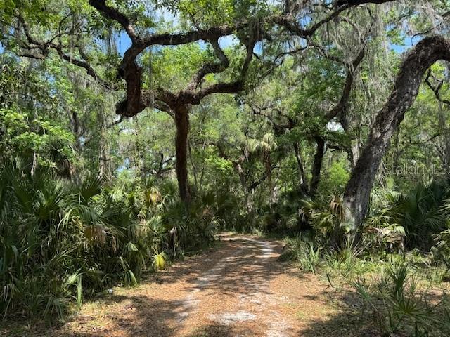 2992 N C 470, LAKE PANASOFFKEE, FL, 33538