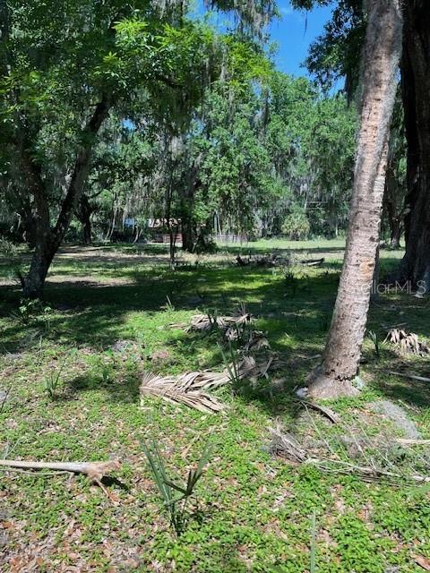 2992 N C 470, LAKE PANASOFFKEE, FL, 33538