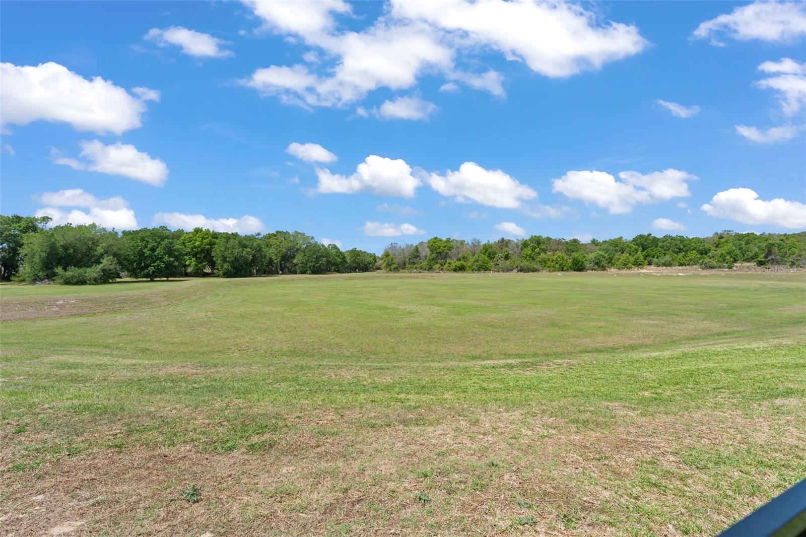 635 NEPTUNE DR, GROVELAND, FL, 34736