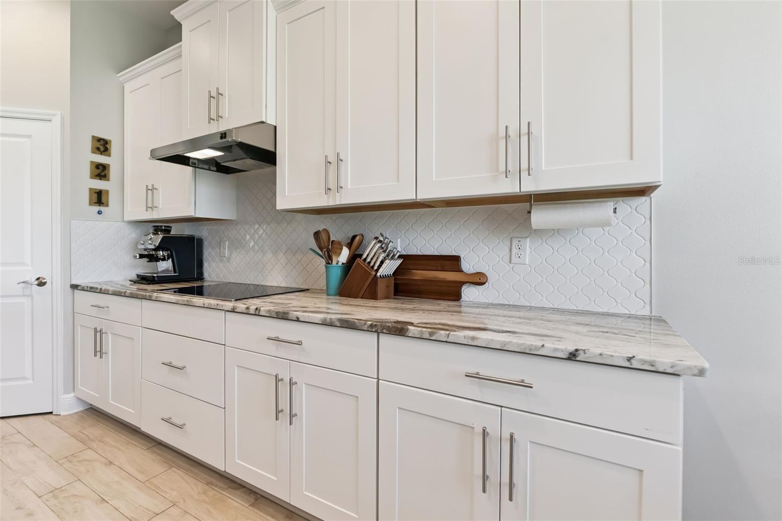 7256 HEATHER SOUND LOOP, WESLEY CHAPEL, FL, 33545