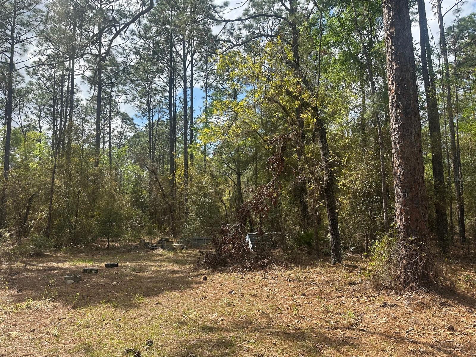 3700 SW 189TH AVE, DUNNELLON, FL, 34432
