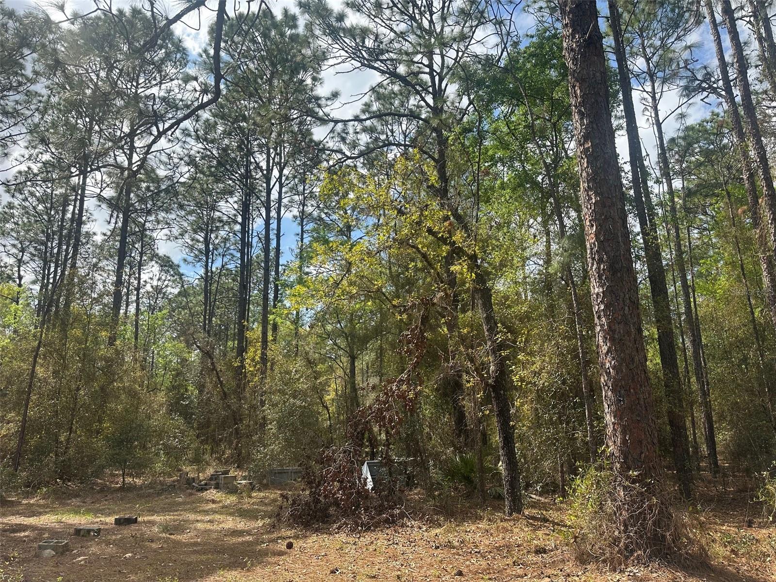 3700 SW 189TH AVE, DUNNELLON, FL, 34432