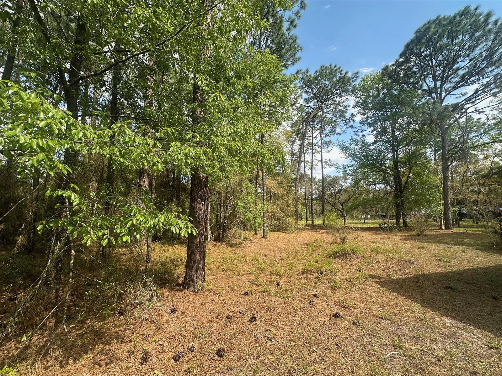 3700 SW 189TH AVE, DUNNELLON, FL, 34432
