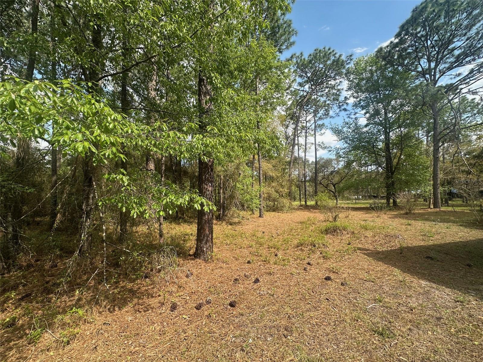 3700 SW 189TH AVE, DUNNELLON, FL, 34432