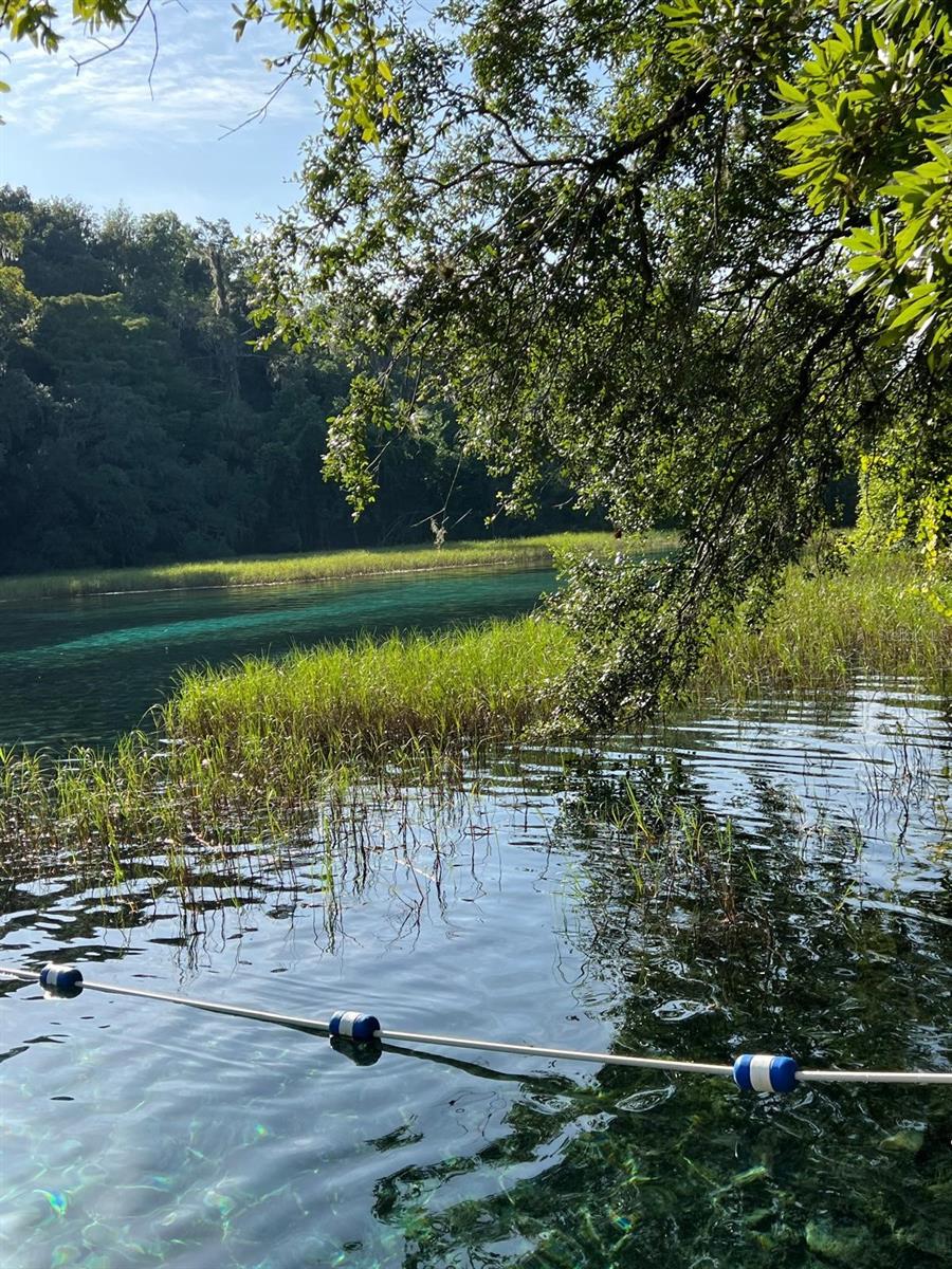 0000 SW RAINELLE RD, DUNNELLON, FL, 34431