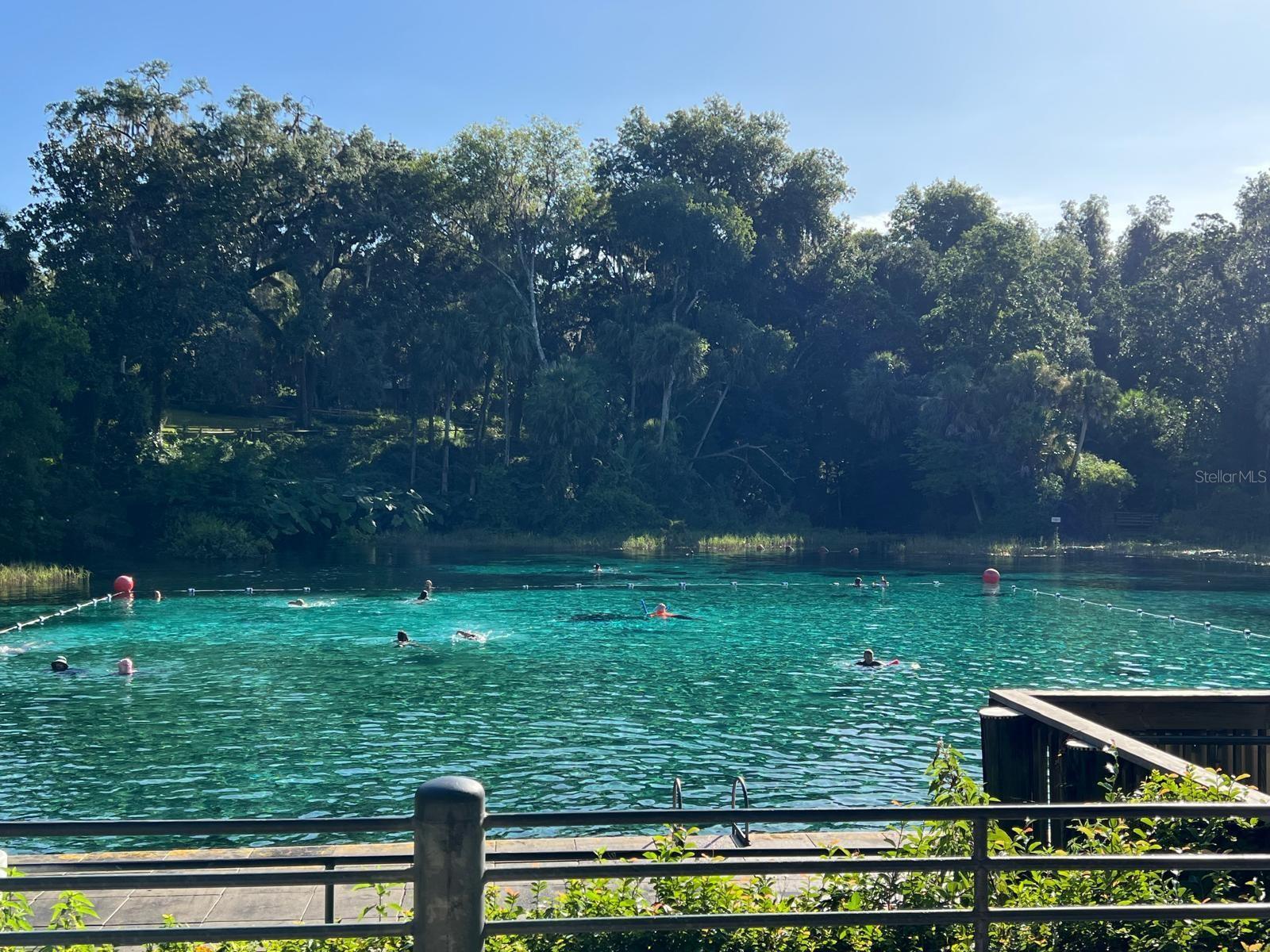 0000 SW RAINELLE RD, DUNNELLON, FL, 34431