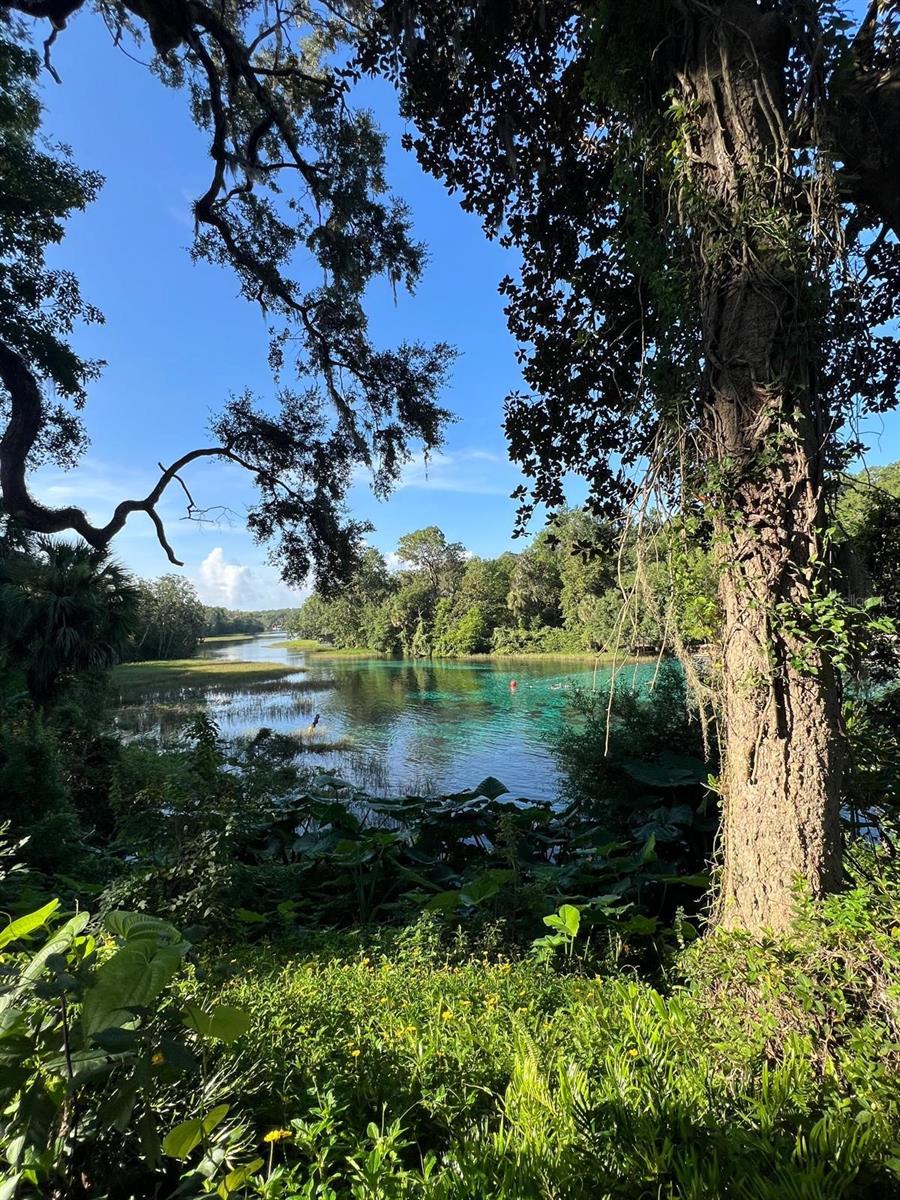 0000 SW RAINELLE RD, DUNNELLON, FL, 34431