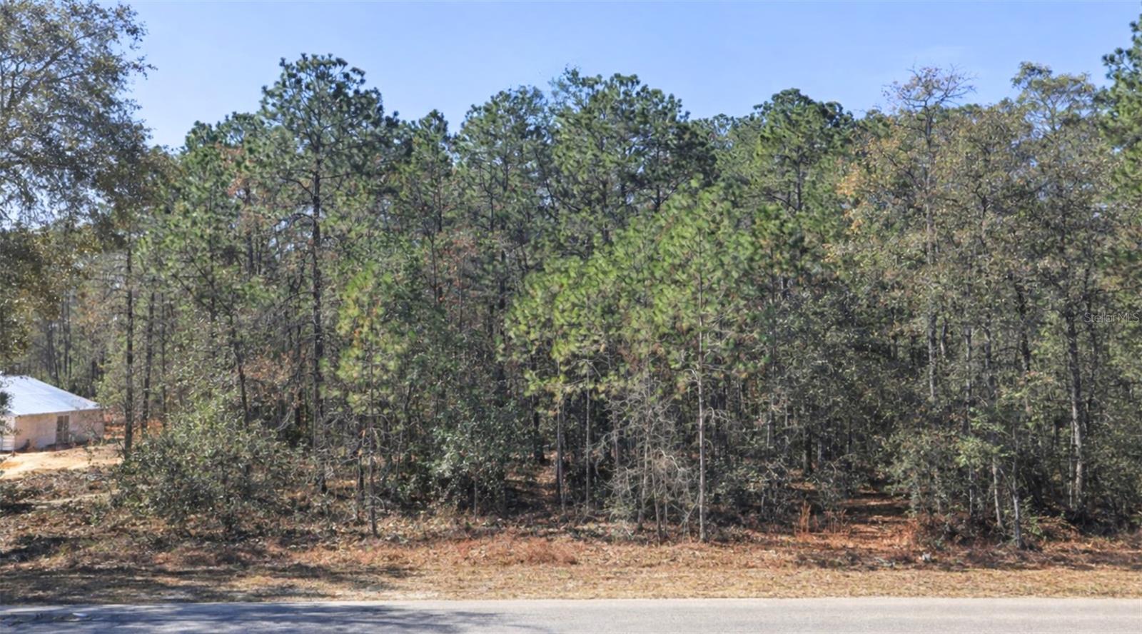 0000 SW RAINELLE RD, DUNNELLON, FL, 34431
