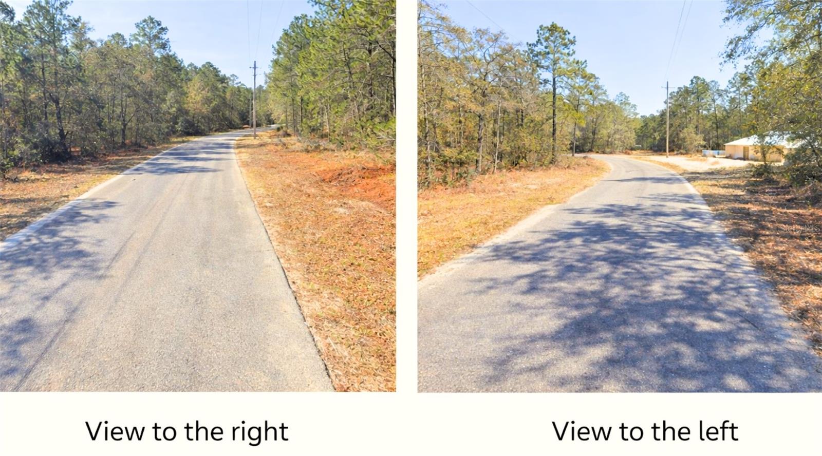 0000 SW RAINELLE RD, DUNNELLON, FL, 34431