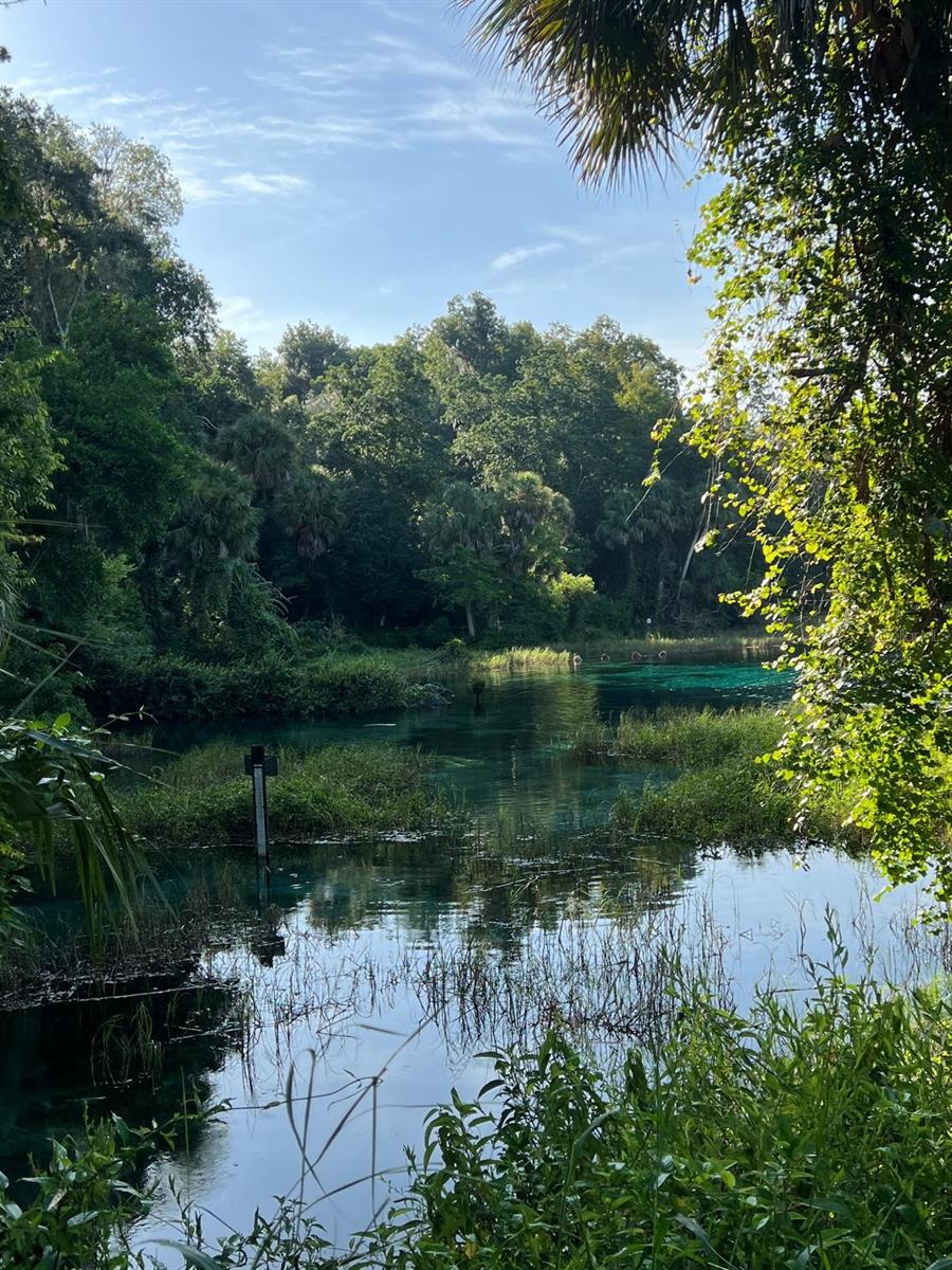 0000 SW RAINELLE RD, DUNNELLON, FL, 34431