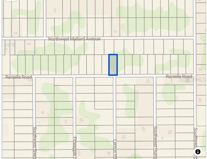 0000 SW RAINELLE RD, DUNNELLON, FL, 34431