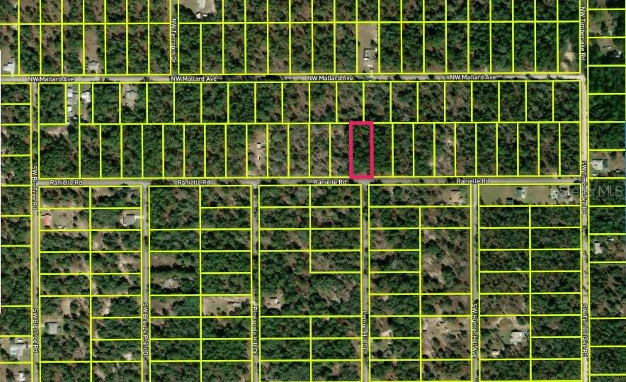 0000 SW RAINELLE RD, DUNNELLON, FL, 34431