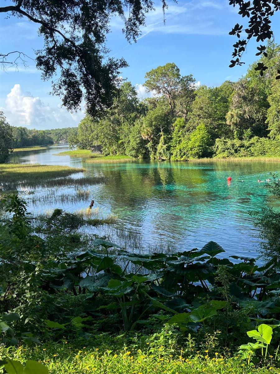 0000 SW RAINELLE RD, DUNNELLON, FL, 34431