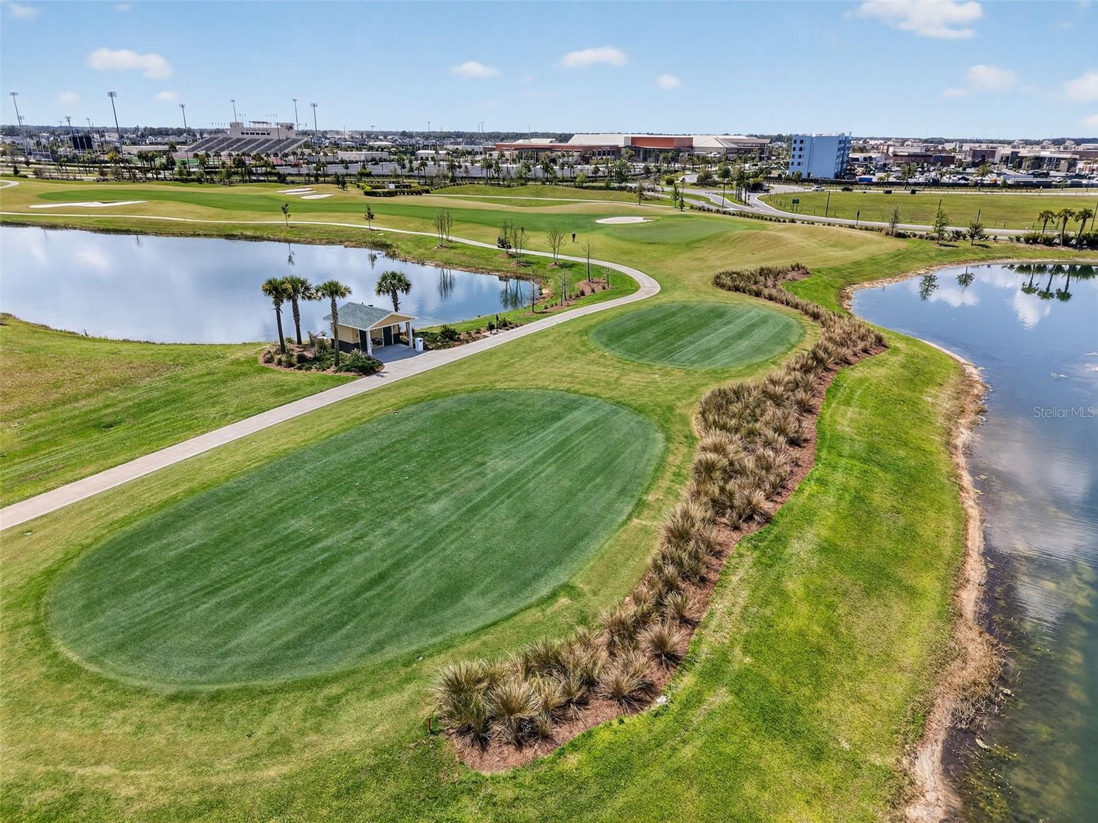 1954 MCMURTRIE LOOP, THE VILLAGES, FL, 34762