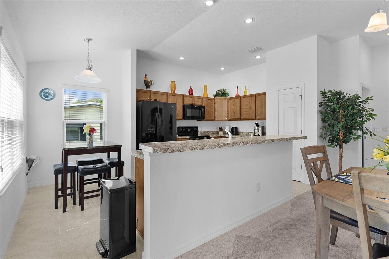 733 JASON DR, LADY LAKE, FL, 32159