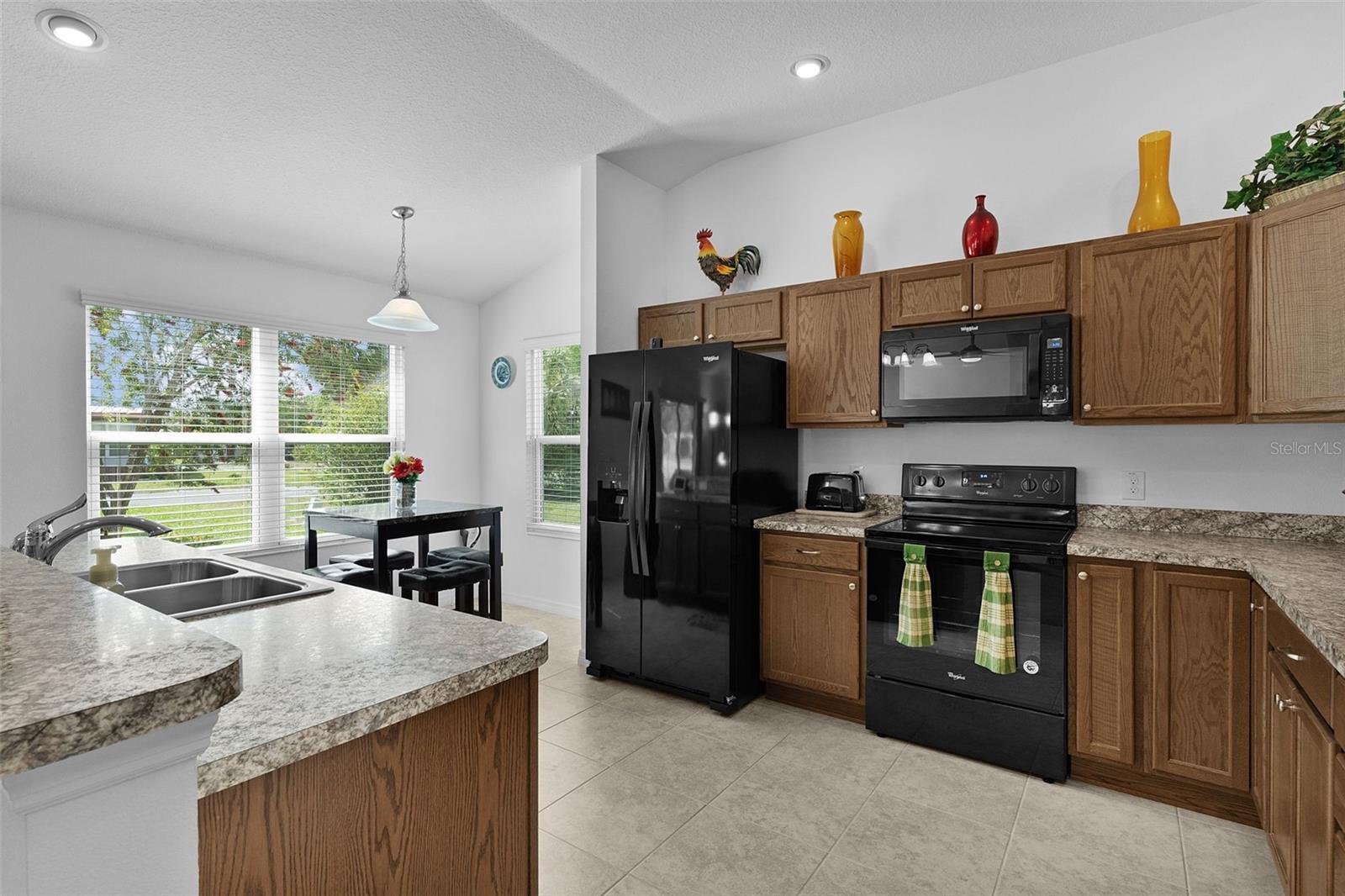 733 JASON DR, LADY LAKE, FL, 32159