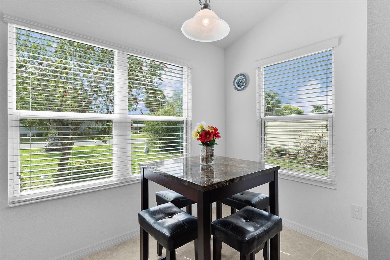 733 JASON DR, LADY LAKE, FL, 32159