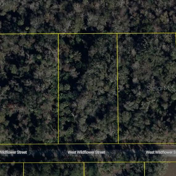 11939 W WILDFLOWER ST, CRYSTAL RIVER, FL, 34428