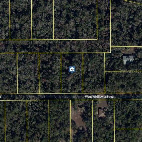11939 W WILDFLOWER ST, CRYSTAL RIVER, FL, 34428