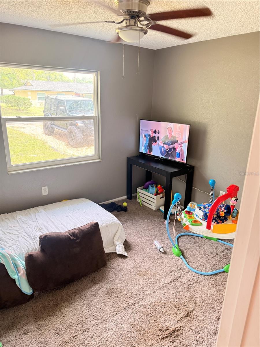 1016 GREENWOOD AVE, ORANGE CITY, FL, 32763