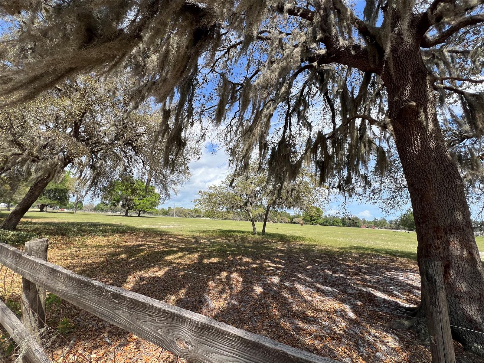 WINTERWILLOW LN, EUSTIS, FL, 32736