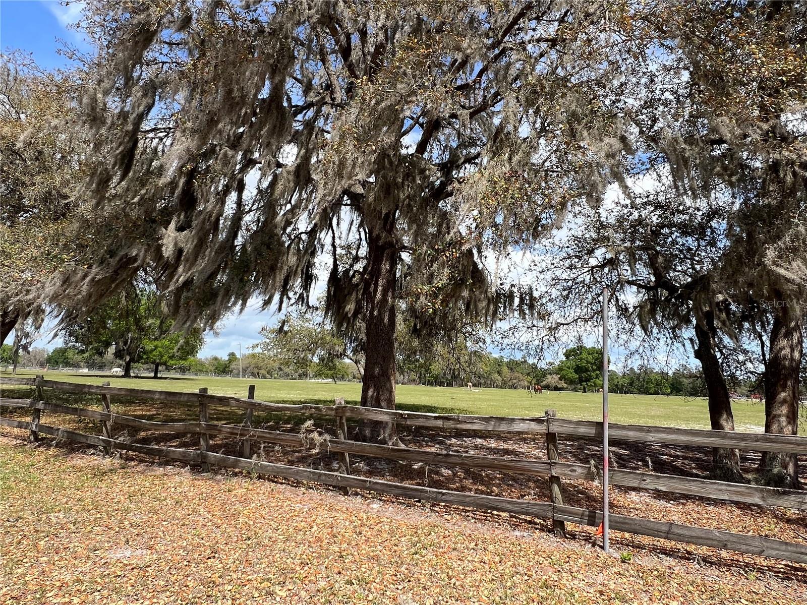 WINTERWILLOW LN, EUSTIS, FL, 32736