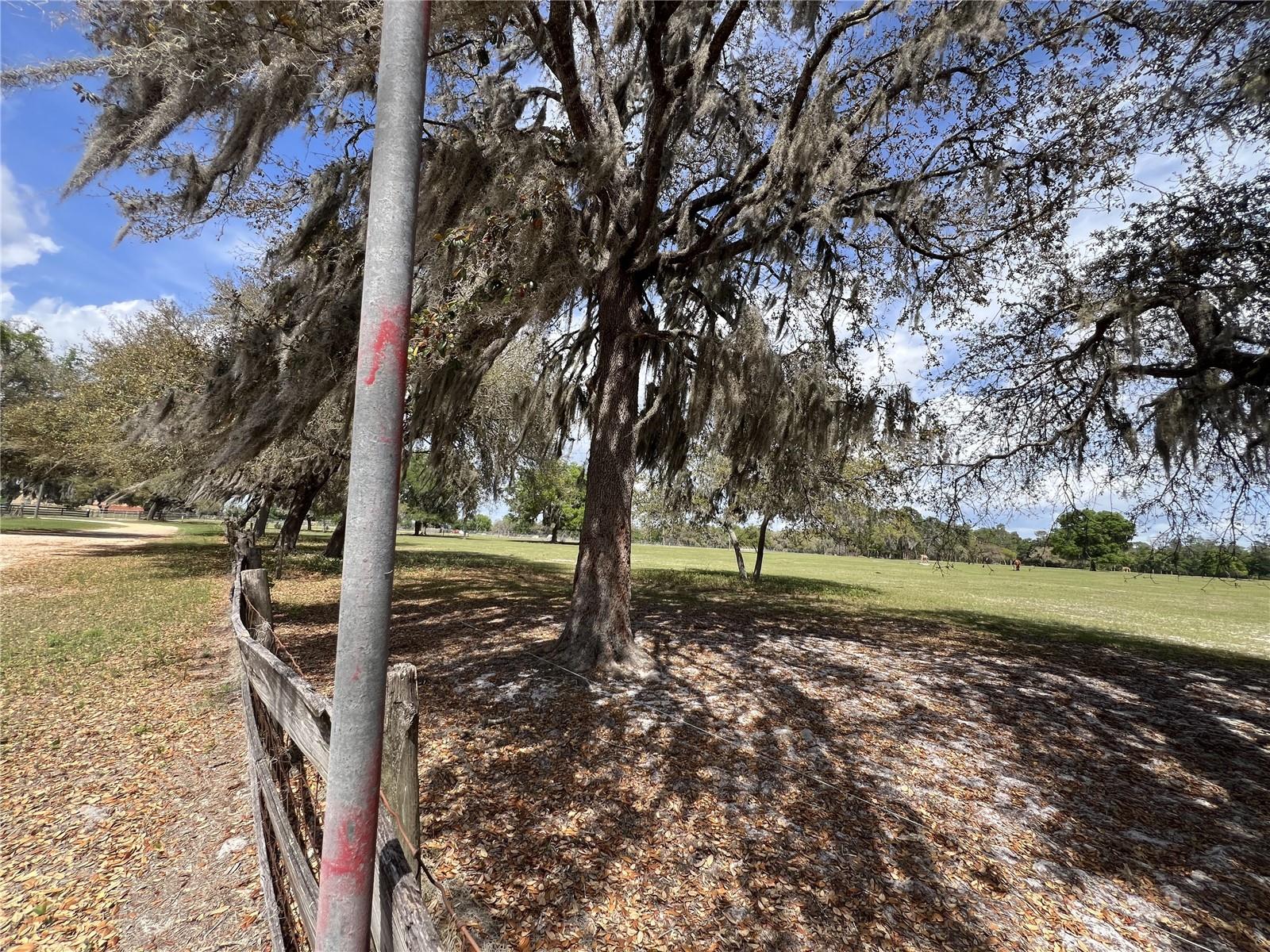 WINTERWILLOW LN, EUSTIS, FL, 32736