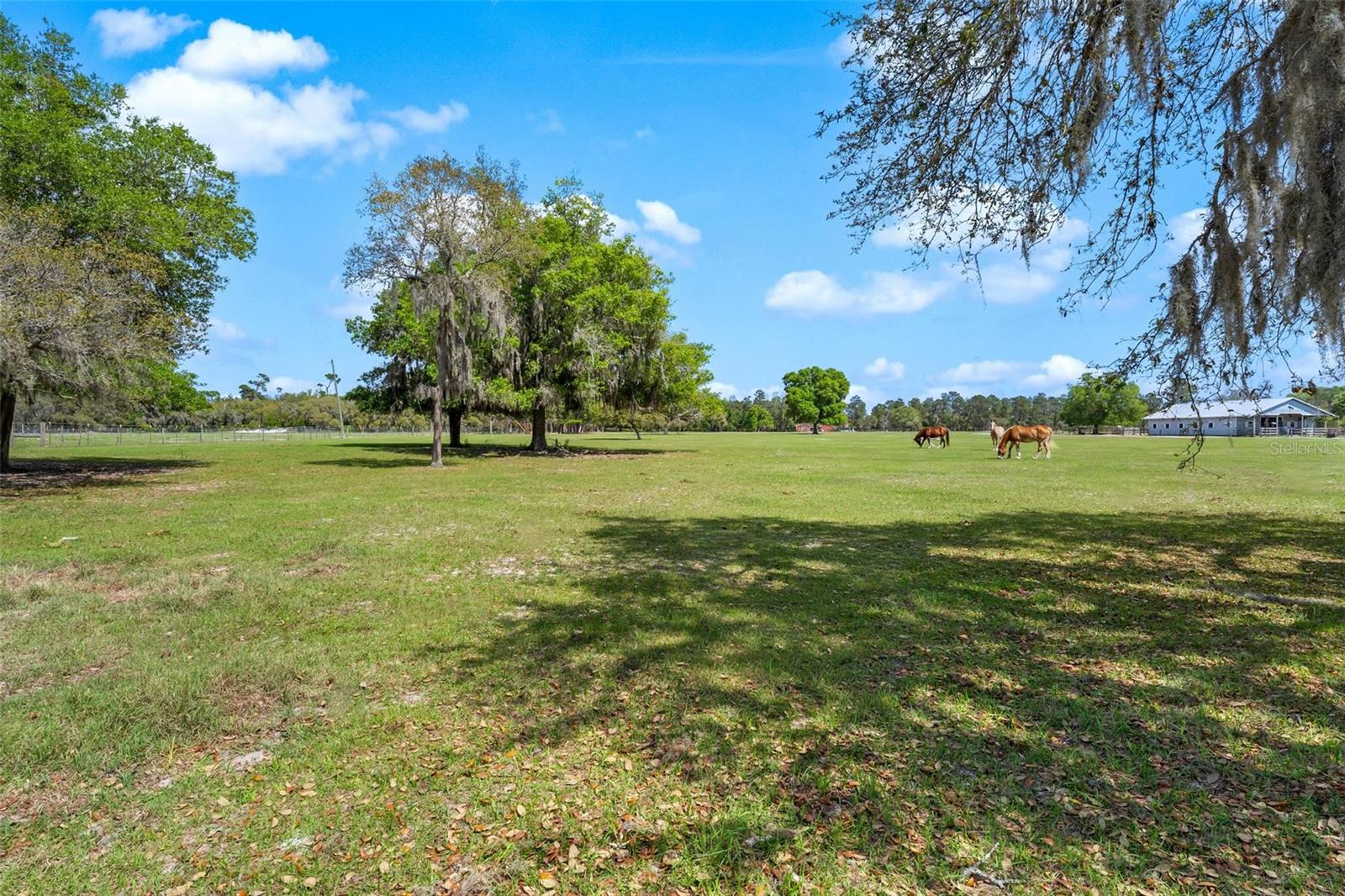 WINTERWILLOW LN, EUSTIS, FL, 32736