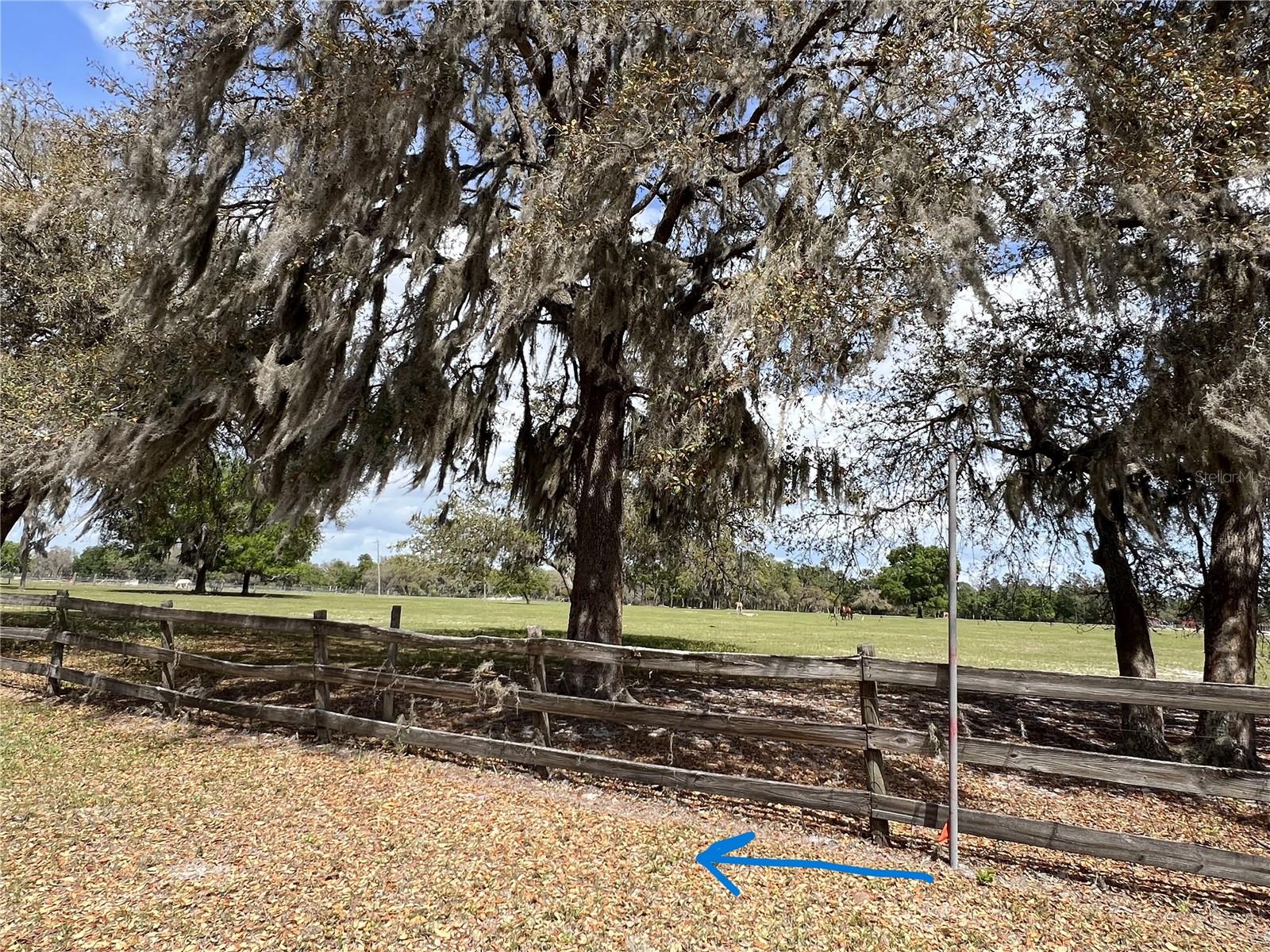WINTERWILLOW LN, EUSTIS, FL, 32736