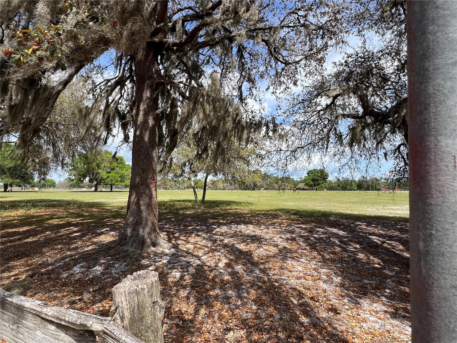 WINTERWILLOW LN, EUSTIS, FL, 32736