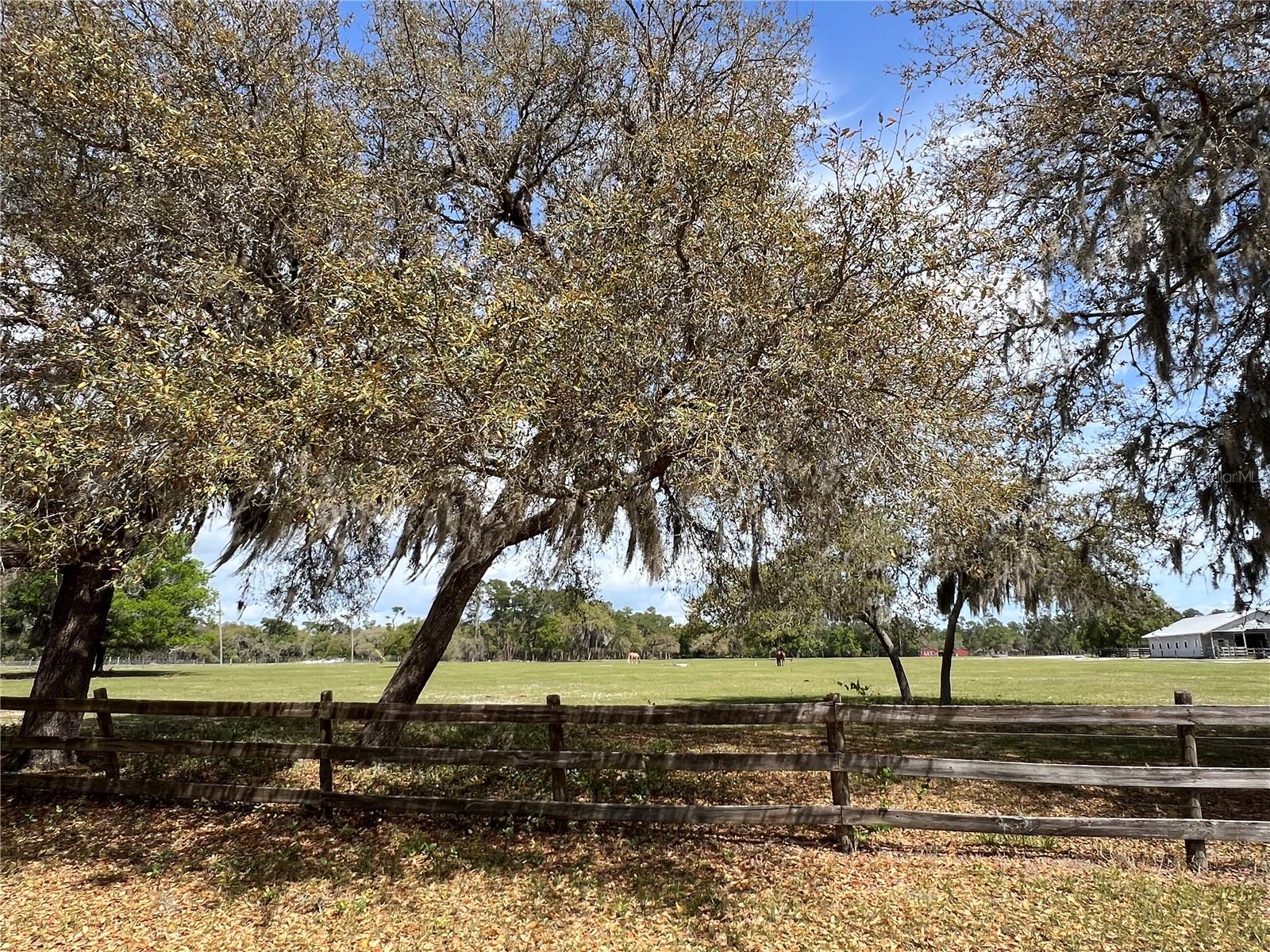 WINTERWILLOW LN, EUSTIS, FL, 32736