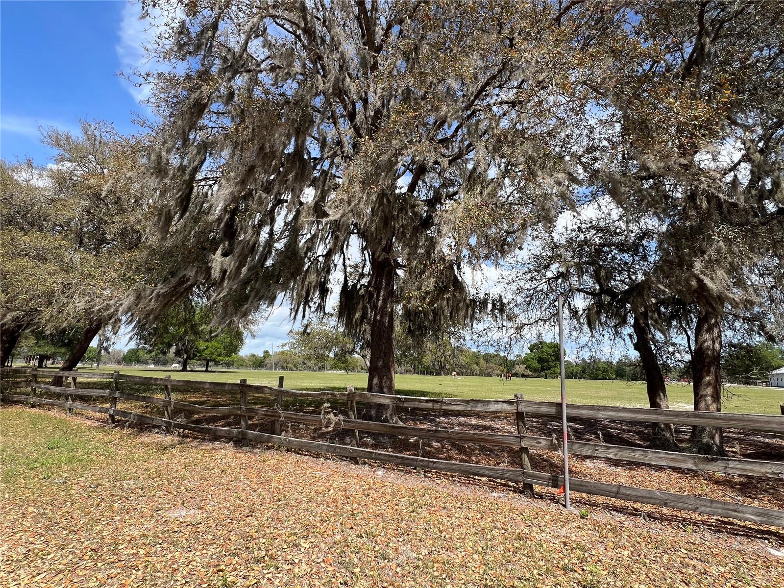 WINTERWILLOW LN, EUSTIS, FL, 32736