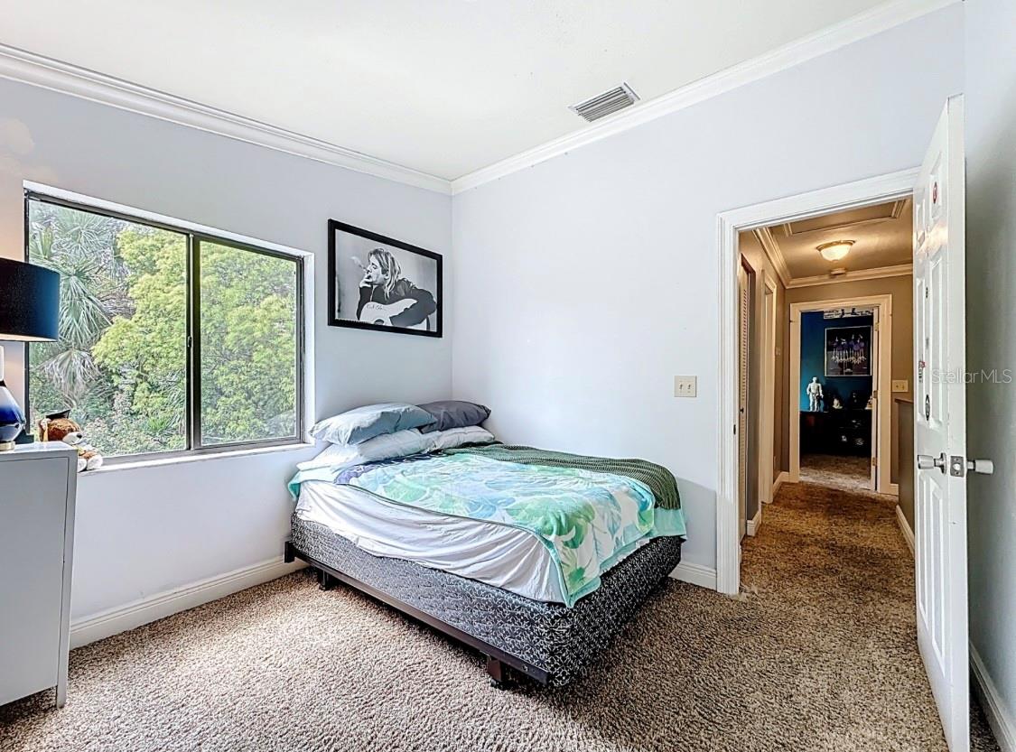 Nice View from the window able to See Pinellas Trail