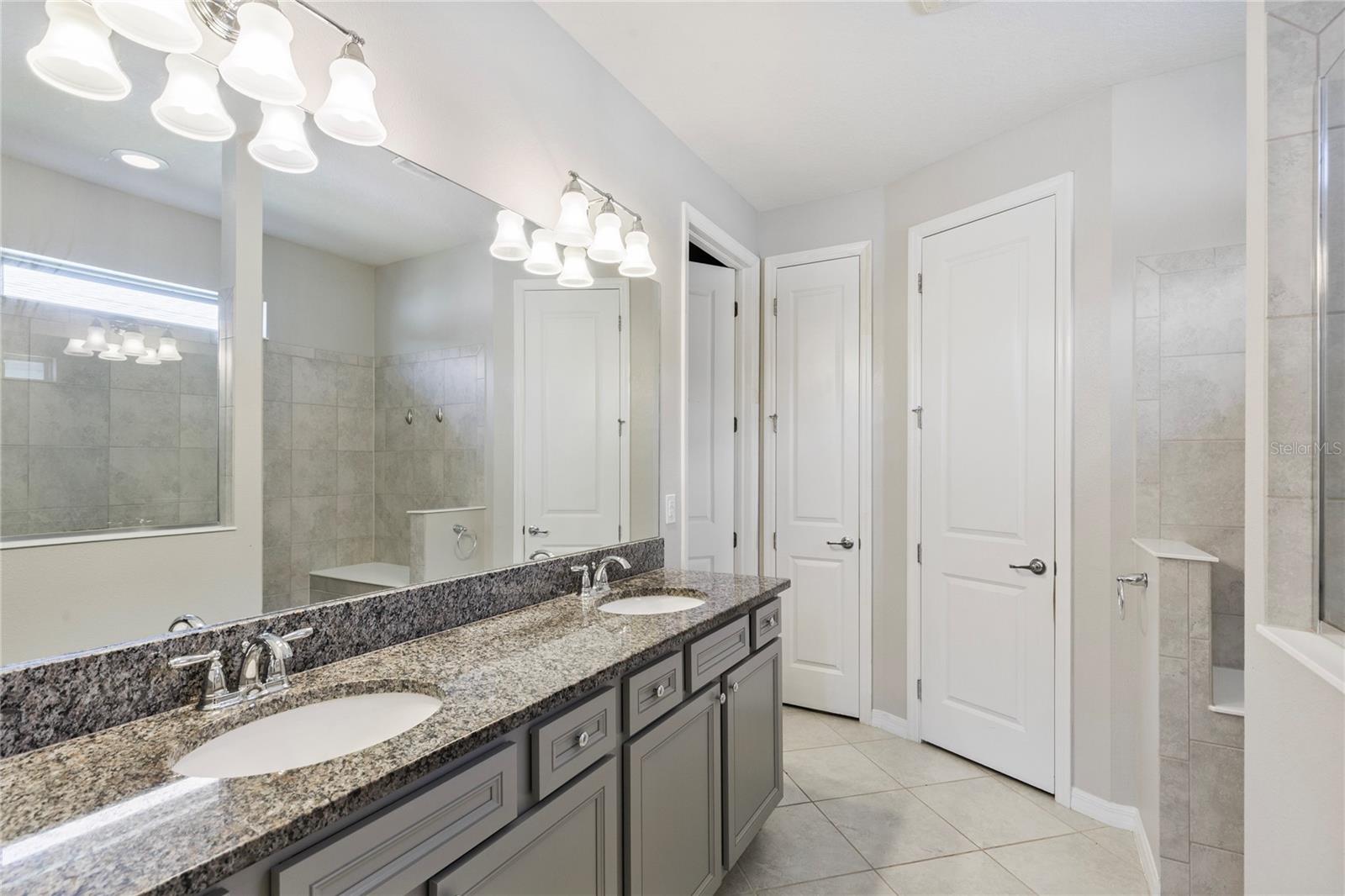 7966 OLIVE BROOK DR, WESLEY CHAPEL, FL, 33545