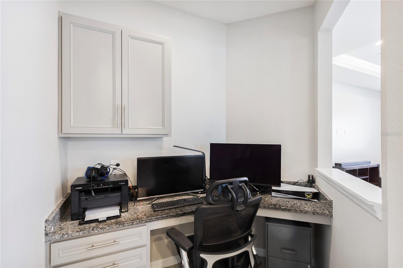 7966 OLIVE BROOK DR, WESLEY CHAPEL, FL, 33545