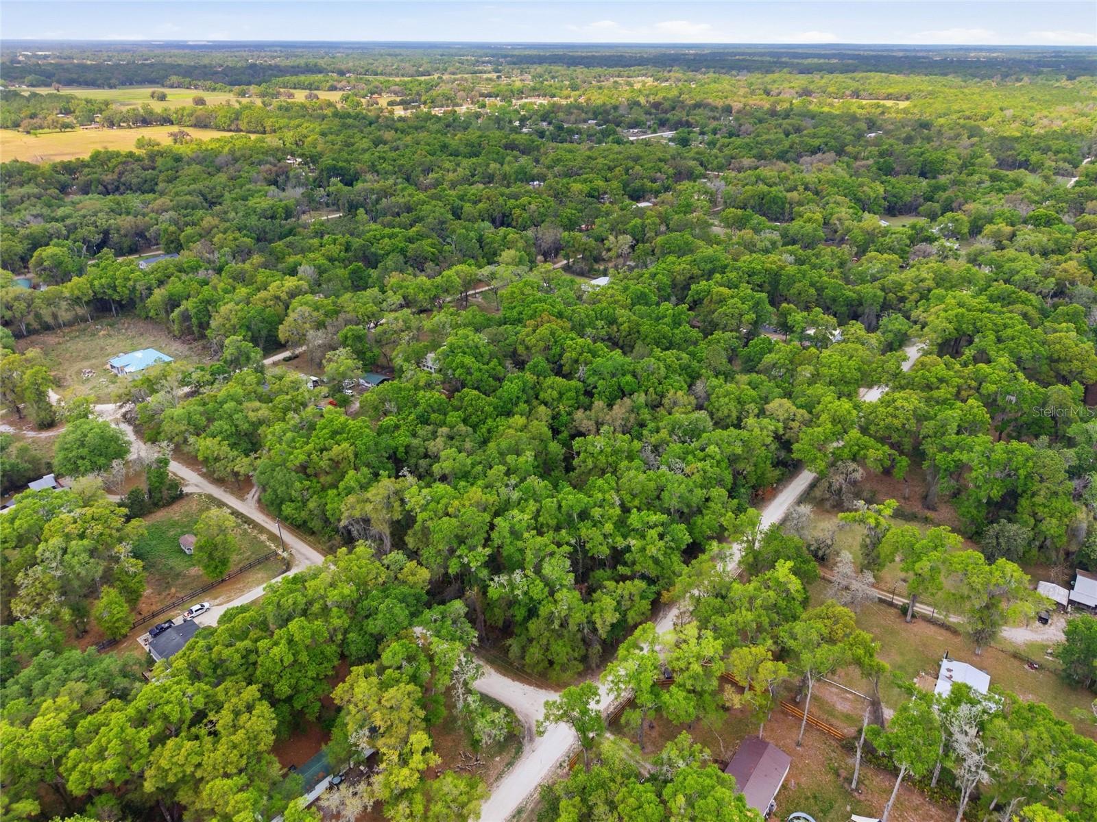 17792 SE 30TH AVE, SUMMERFIELD, FL, 34491