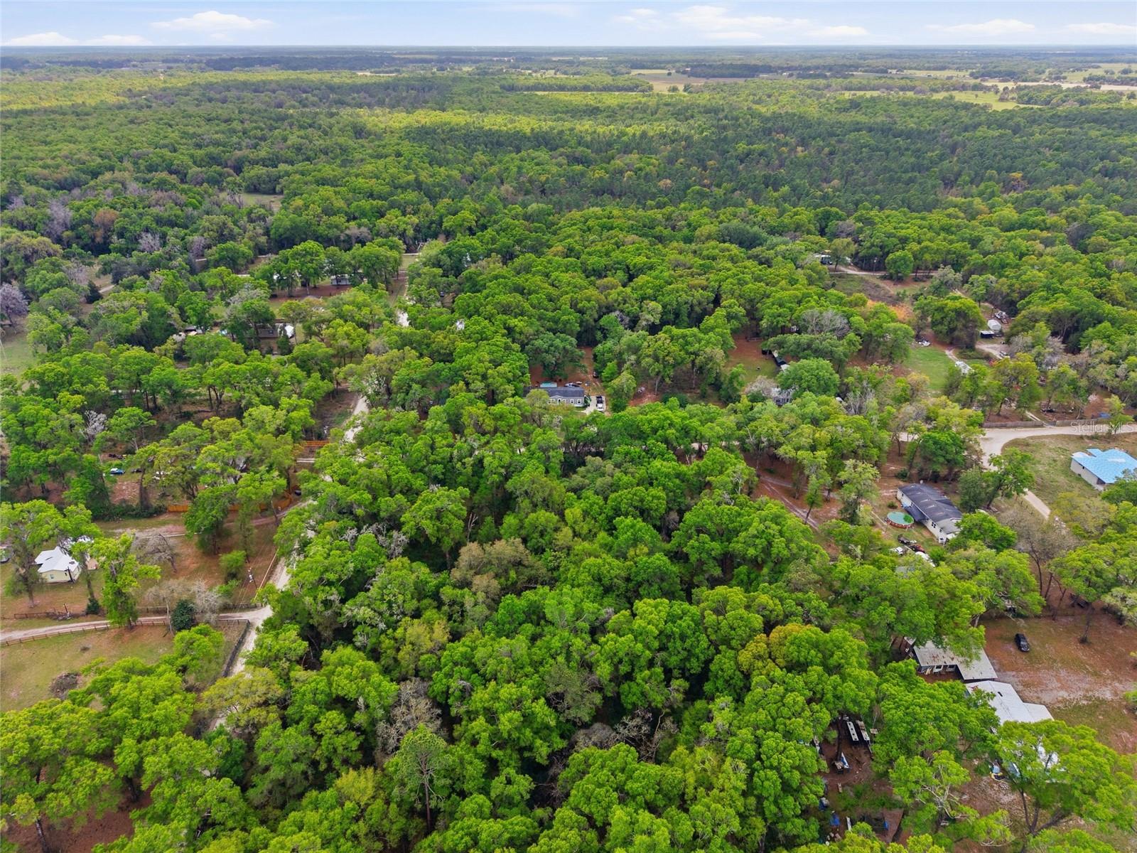 17792 SE 30TH AVE, SUMMERFIELD, FL, 34491