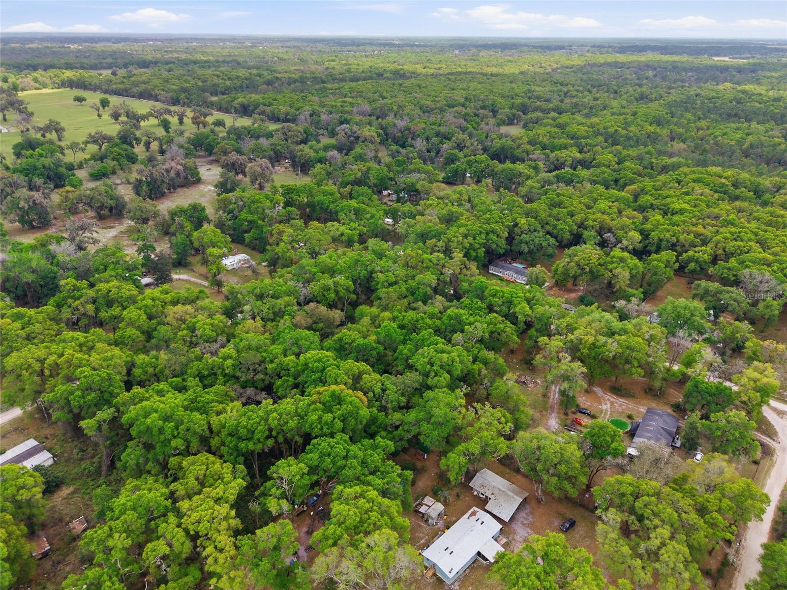 17792 SE 30TH AVE, SUMMERFIELD, FL, 34491