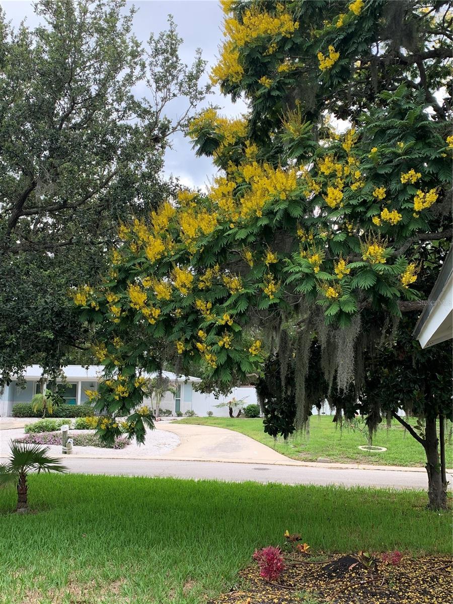 6370 CONNIEWOOD SQ, NEW PORT RICHEY, FL, 34653