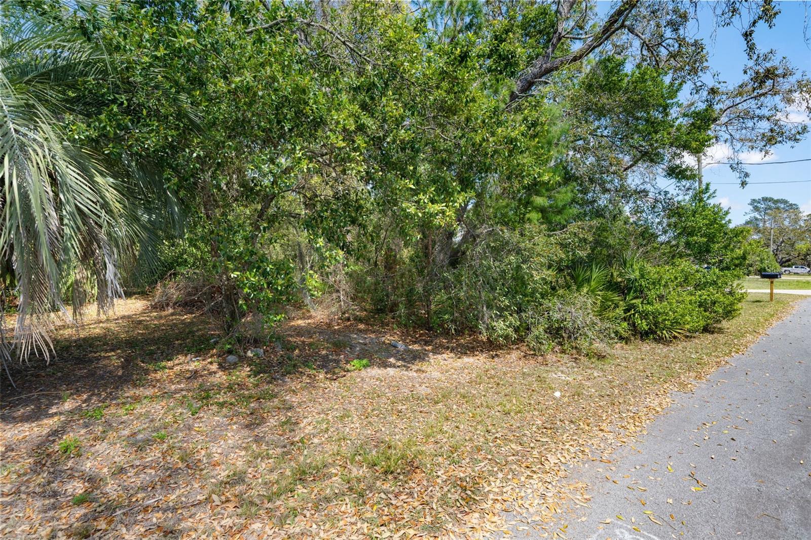 7491 BLACKHAWK TRL, SPRING HILL, FL, 34606