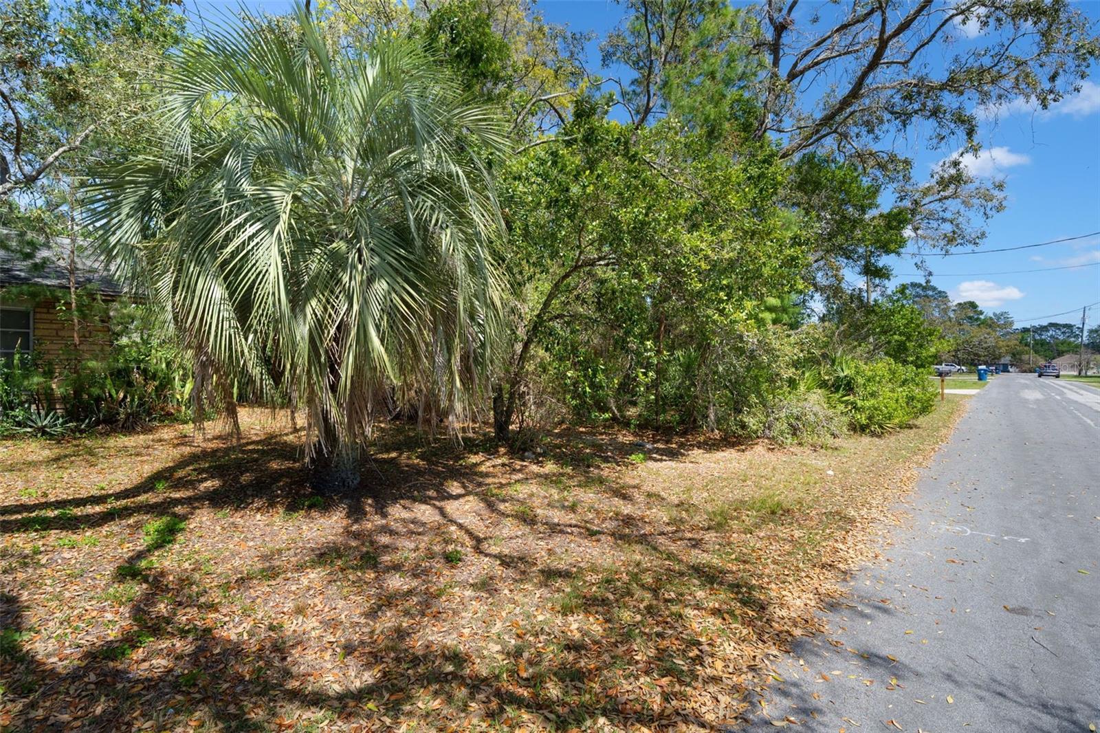 7491 BLACKHAWK TRL, SPRING HILL, FL, 34606