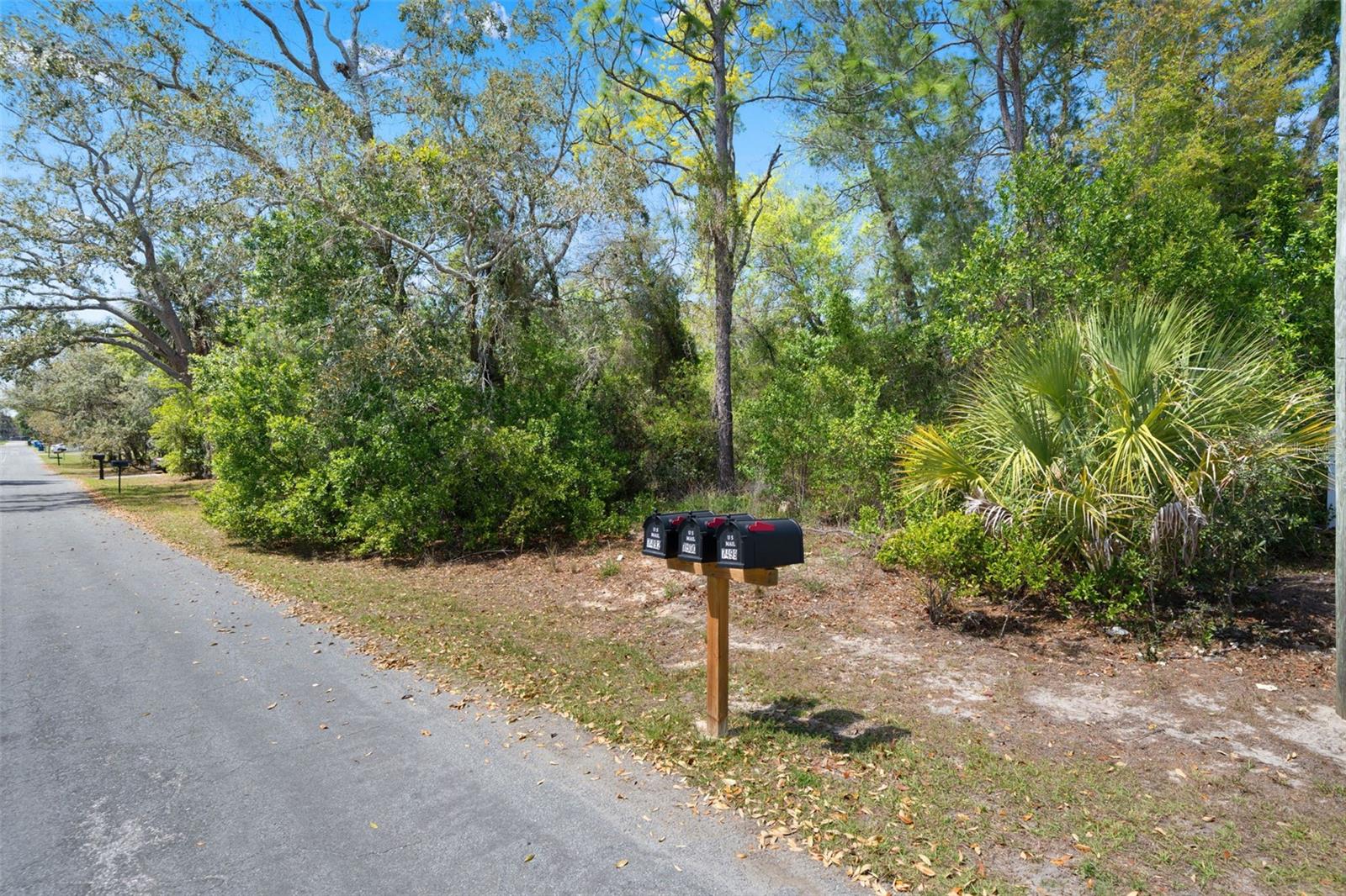 7491 BLACKHAWK TRL, SPRING HILL, FL, 34606