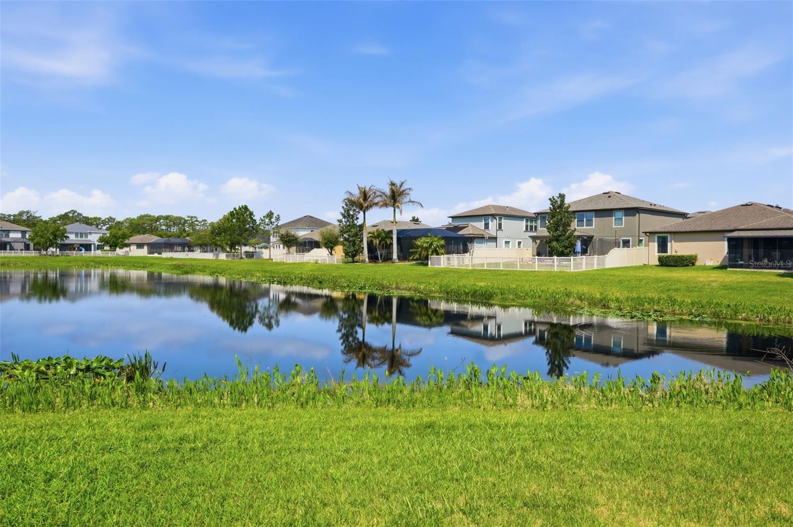 1897 FOX GRAPE LOOP, LUTZ, FL, 33558