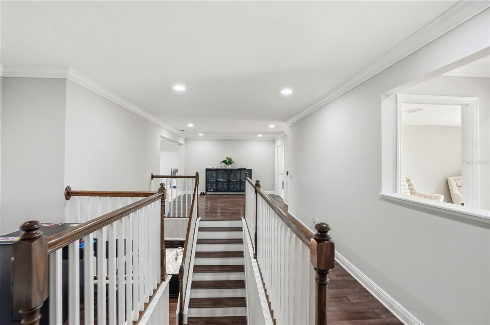 1897 FOX GRAPE LOOP, LUTZ, FL, 33558