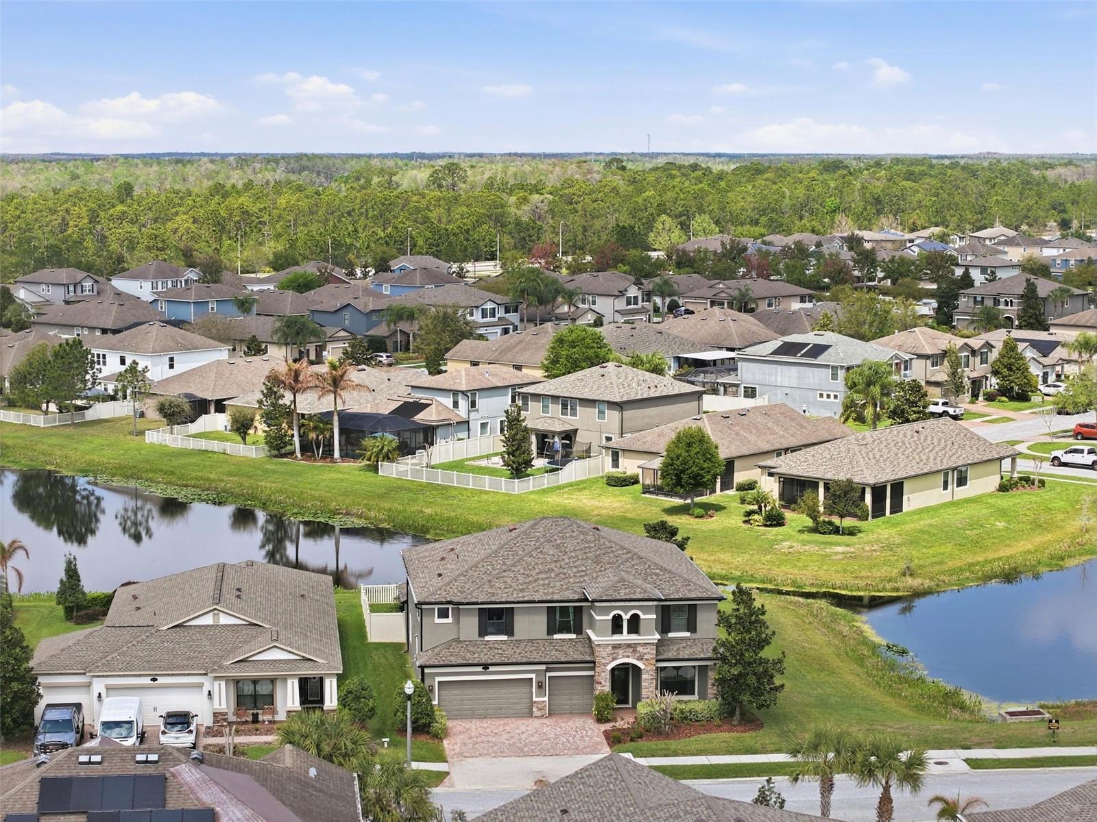 1897 FOX GRAPE LOOP, LUTZ, FL, 33558