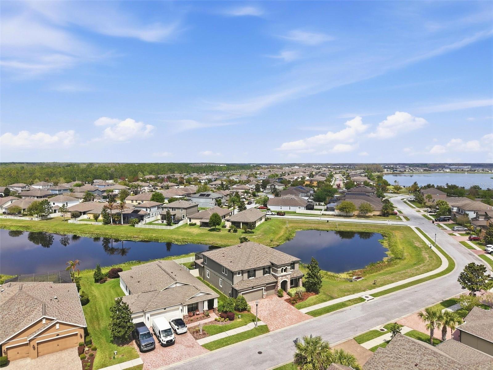 1897 FOX GRAPE LOOP, LUTZ, FL, 33558