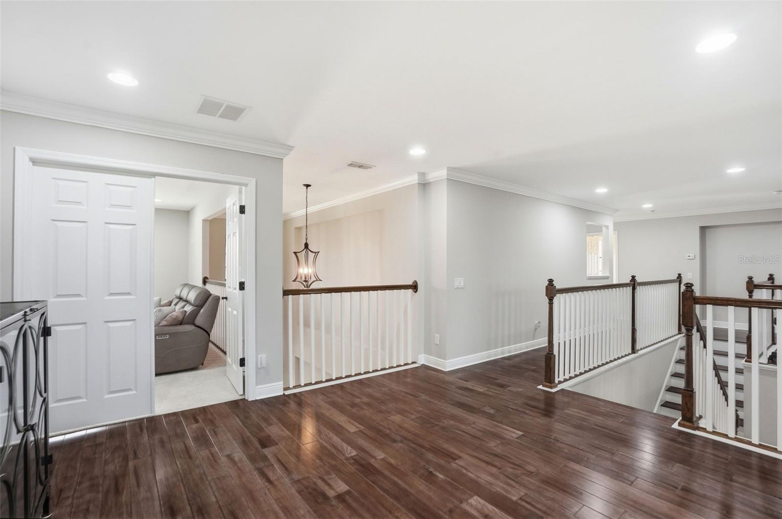 1897 FOX GRAPE LOOP, LUTZ, FL, 33558